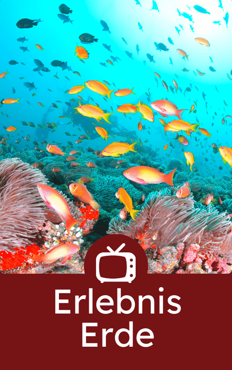 Erlebnis Erde - family.cards