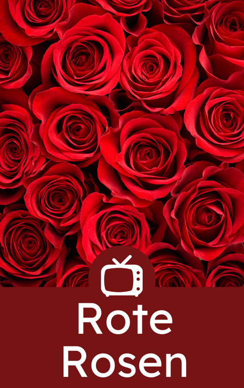 Red roses